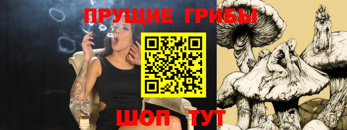 Псилоцибиновые грибы Psilocybe Мурманск